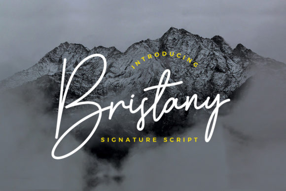 Bristany: The Adaptable Script Font for Modern Creators