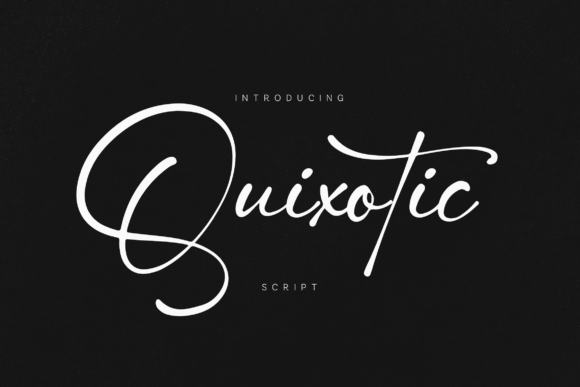Quixotic: The Whimsical Script Font for Boutique Brands